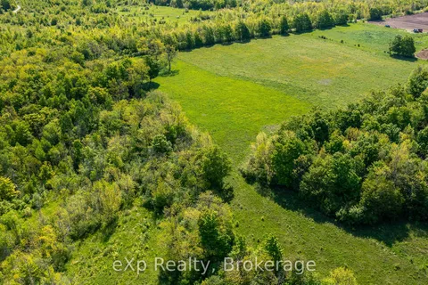 PTLT 29 CON 1S, St. Vincent-Sydenham Townline N/A, ON N0H 1B0