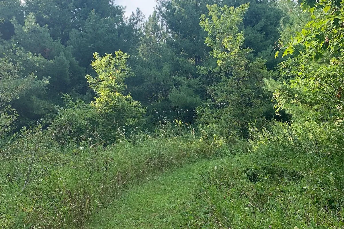 104 Concession 3 W N/A, ON K0K 3K0