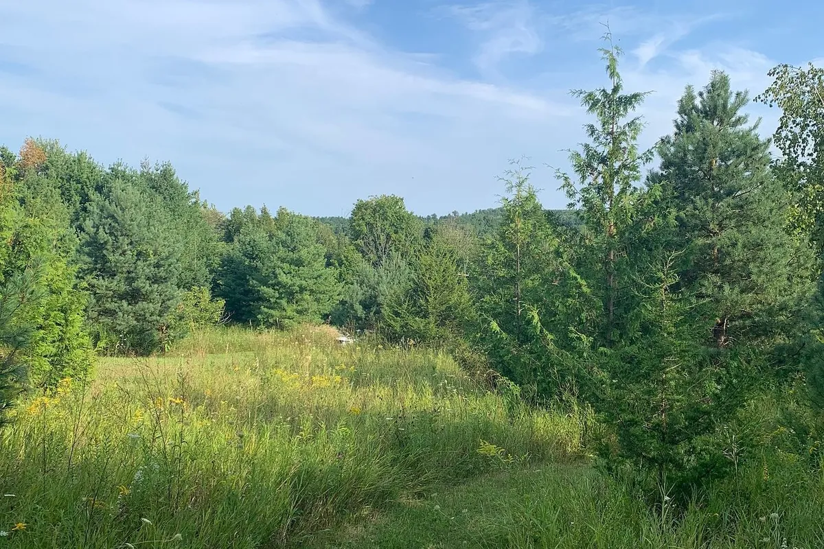 104 Concession 3 W N/A, ON K0K 3K0