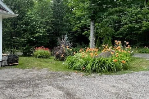 1019 Lakeshore Road, Bracebridge, ON P1L 1X3