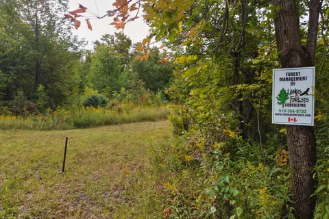 249 Wrights Crescent, South Bruce Peninsula, ON N0H 2T0