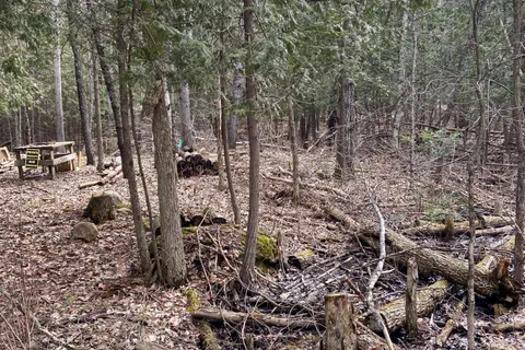 N/A Chelsea Lane, Algonquin Highlands, ON K0M 1J0