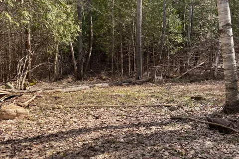 N/A Chelsea Lane, Algonquin Highlands, ON K0M 1J0