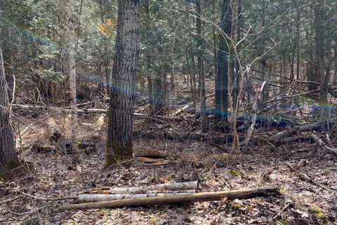 N/A Chelsea Lane, Algonquin Highlands, ON K0M 1J0