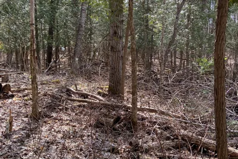 N/A Chelsea Lane, Algonquin Highlands, ON K0M 1J0