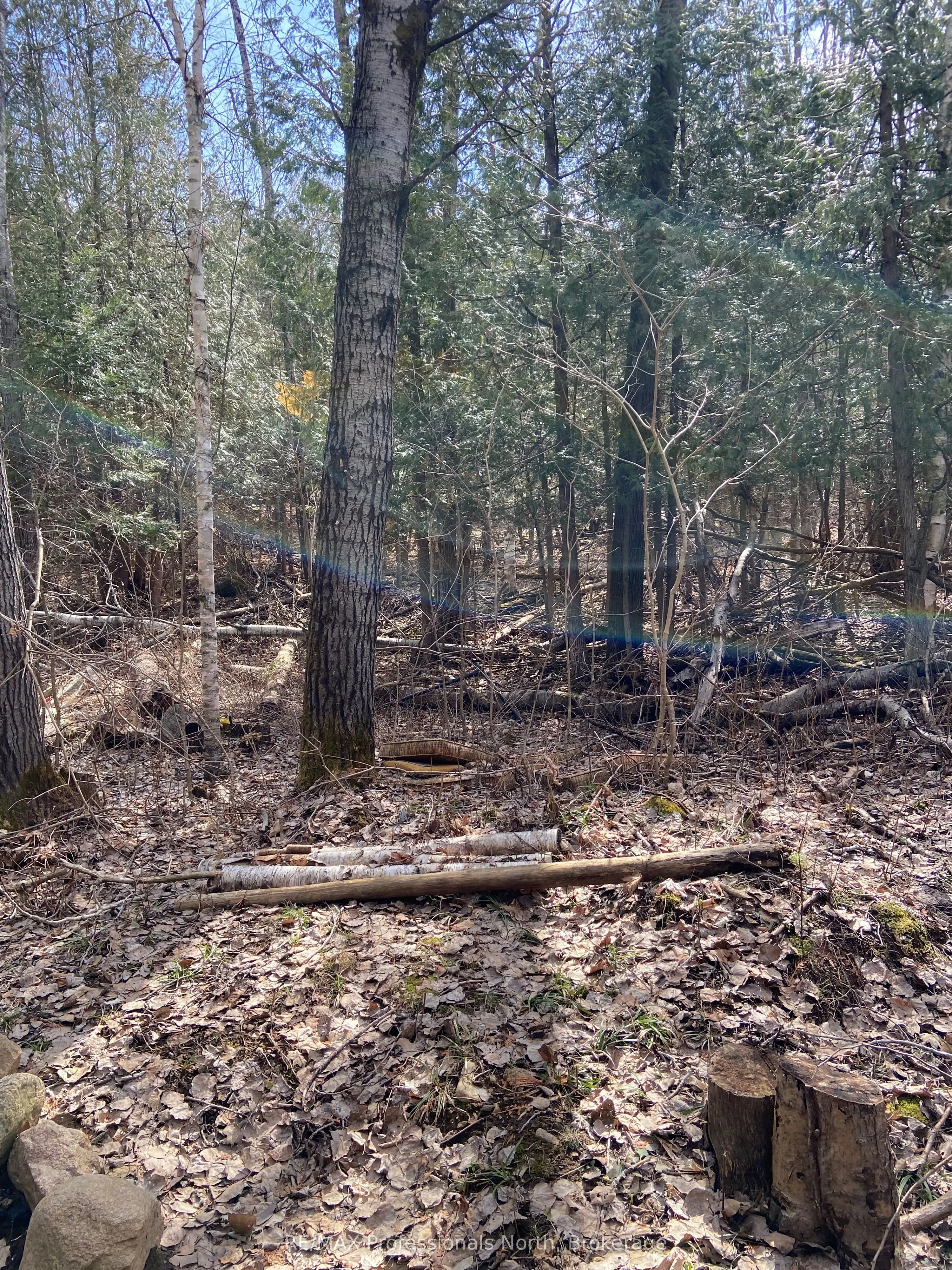 N/A Chelsea Lane, Algonquin Highlands, ON K0M 1J0