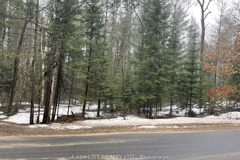 0 Dwight Beach Road, Lake of Bays, ON P0A 1H0