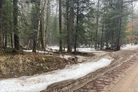 0 Dwight Beach Road, Lake of Bays, ON P0A 1H0