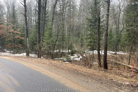0 Dwight Beach Road, Lake of Bays, ON P0A 1H0
