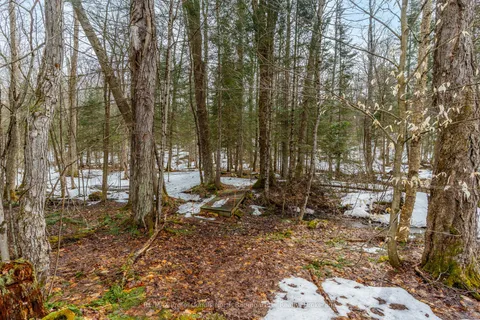 2988 Loop Road, Highlands East, ON K0L 3C0