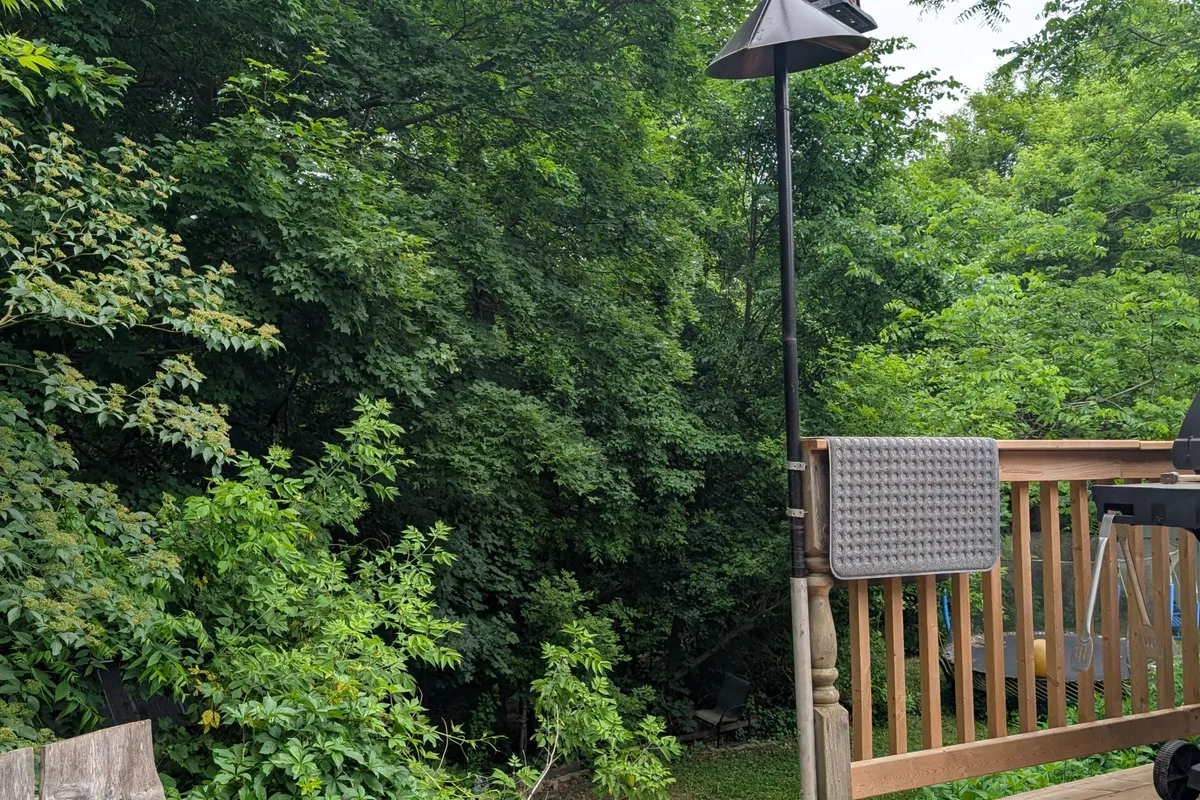 806201 Oxford 29 Road, ON N0J 1M0