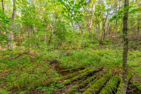 165 JAMES CAMP Road, Ryerson, ON P0A 1C0