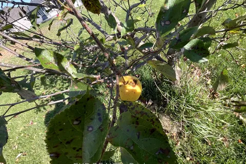 26 Penny Lane, South Stormont, ON K0C 1P0