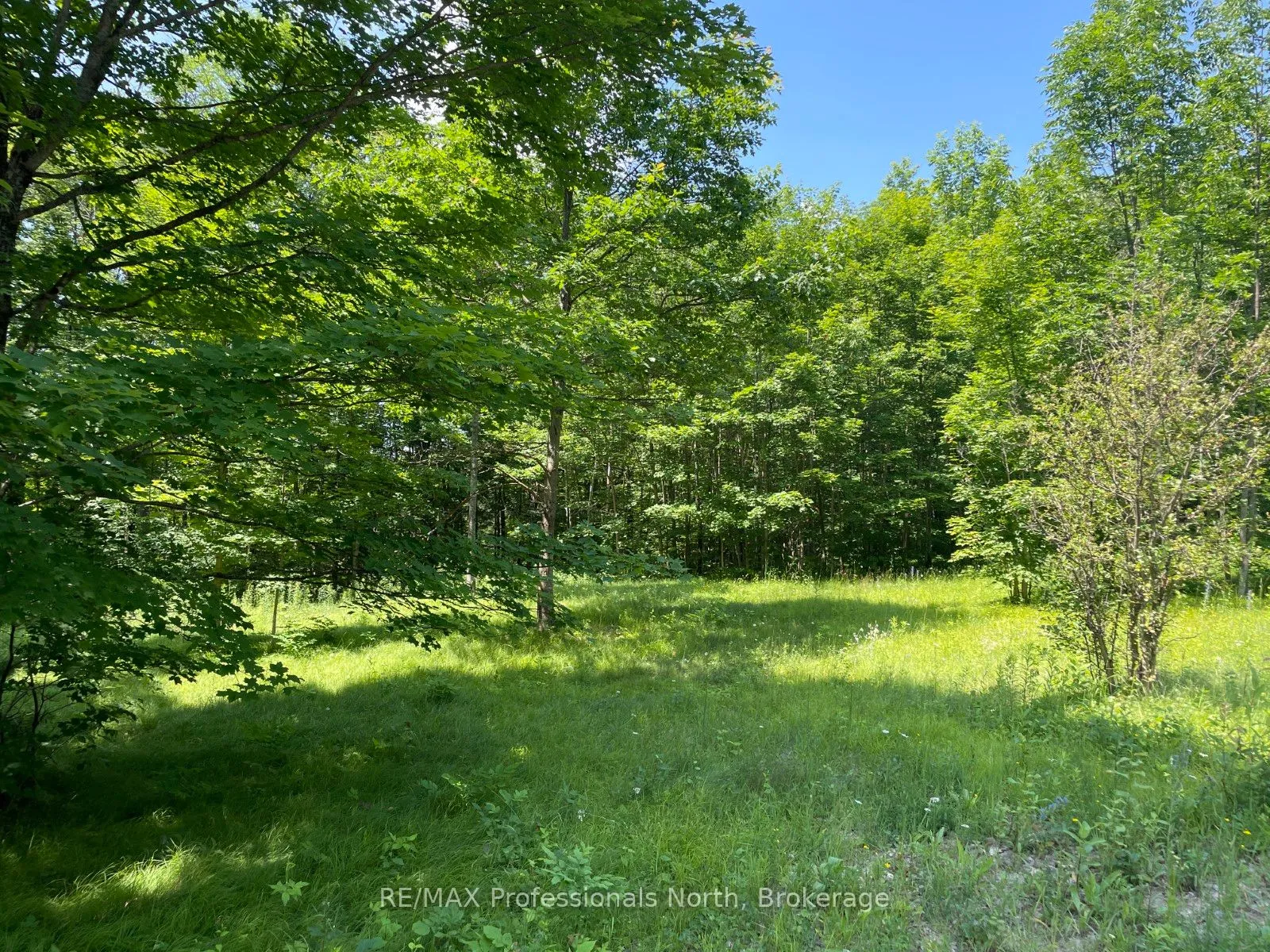 0 Glamor Lake Road, Highlands East, ON K0M 1R0