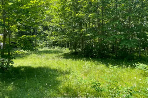 0 Glamor Lake Road, Highlands East, ON K0M 1R0