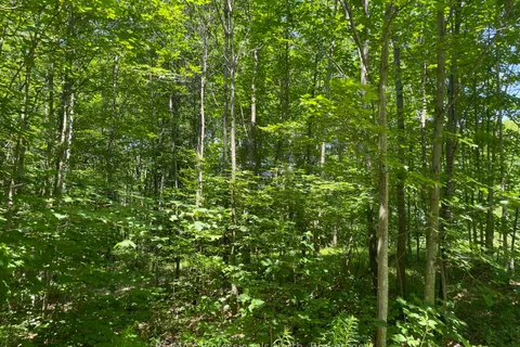 0 Glamor Lake Road, Highlands East, ON K0M 1R0