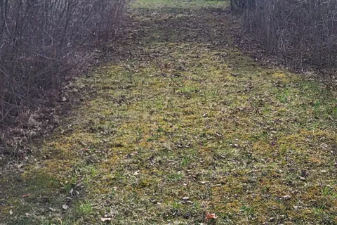 Across From 3904 Cty Rd 49 N/A, ON K0K 2T0