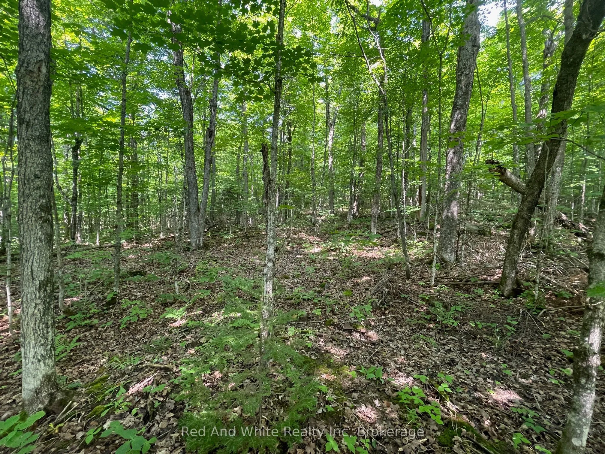 285 Chapman Drive, Magnetawan, ON P0A 1P0