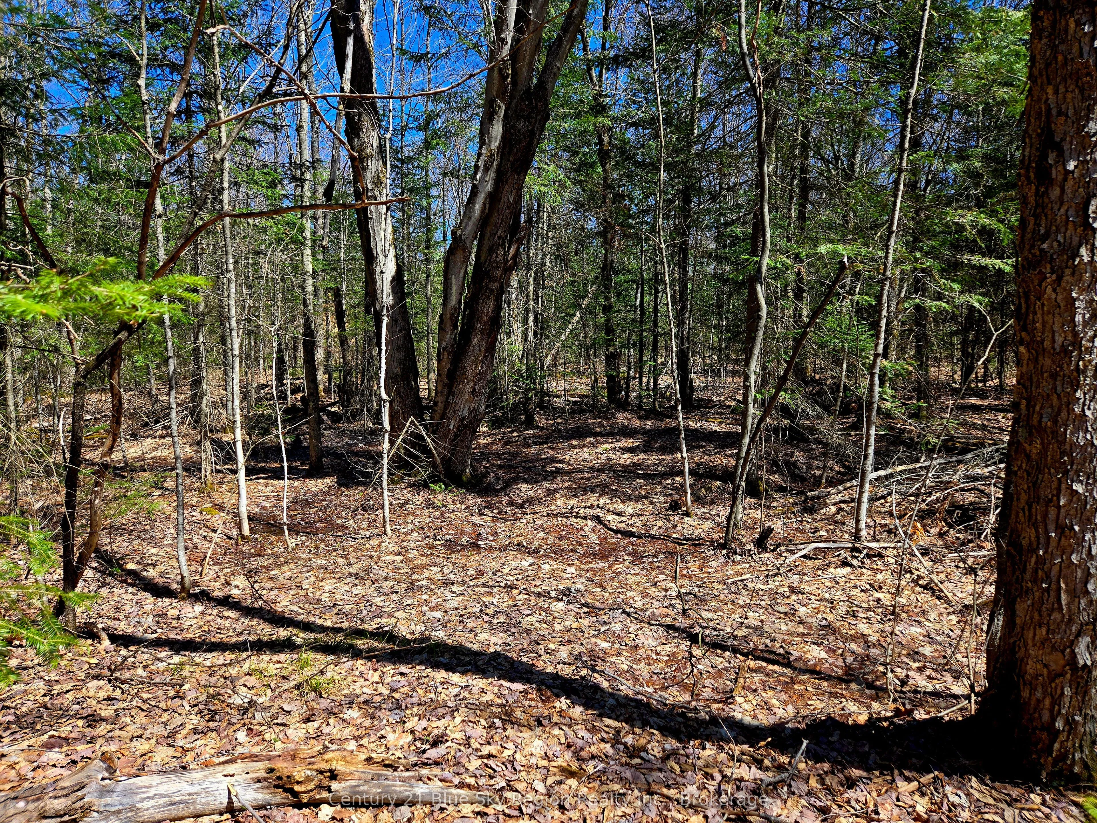 3267 Highway 534 N/A, ON P0H 1W0