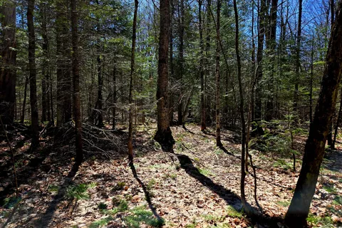 3267 Highway 534 N/A, ON P0H 1W0