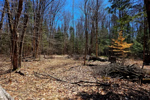 3267 Highway 534 N/A, ON P0H 1W0