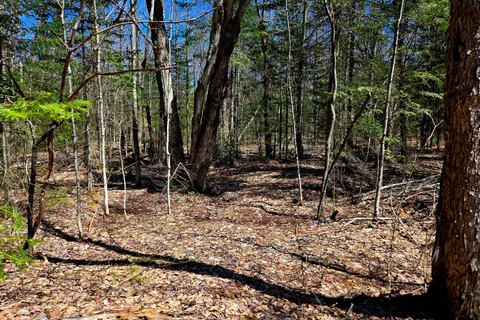 3267 Highway 534 N/A, ON P0H 1W0