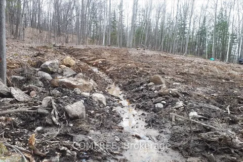 790 Mitchell Road, Madawaska Valley, ON K0J 1B0