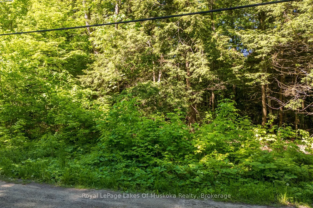 1061 SOUTH MULDREW LAKE Road, Gravenhurst, ON P0E 1G0