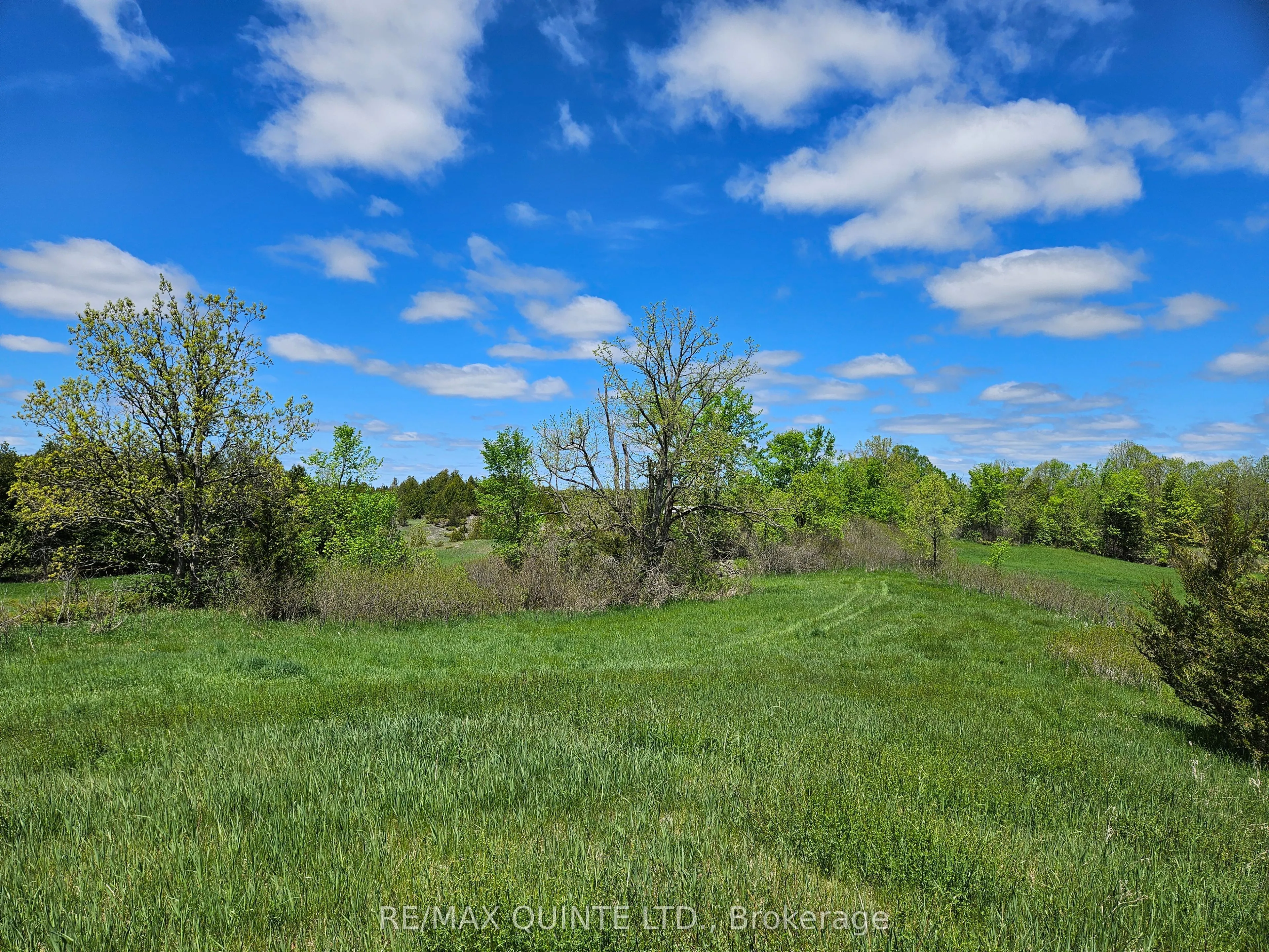 63 Horrigan Road, Tweed, ON K0K 2L0
