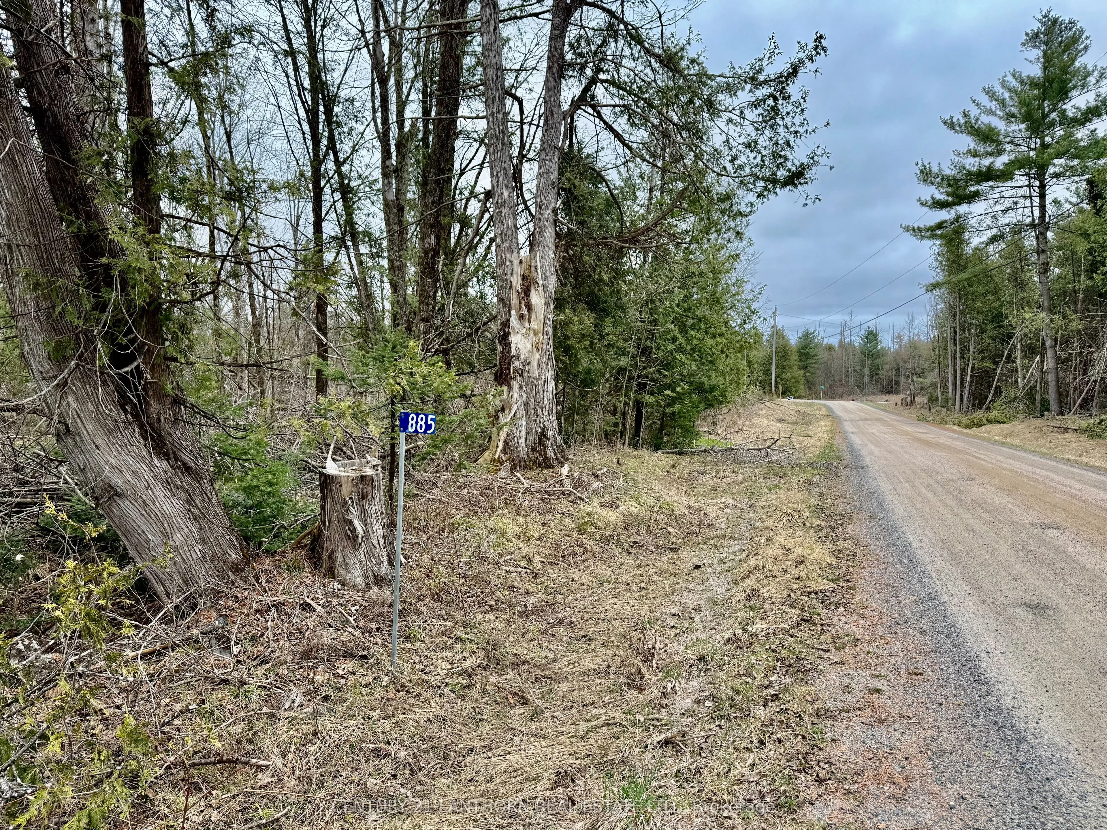 885 Cleveland Road, Tudor and Cashel, ON K0K 1Y0