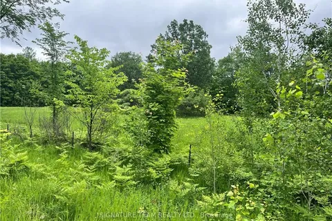 Lot 1 Grants Settlement Road, Whitewater Region, ON K0J 1K0