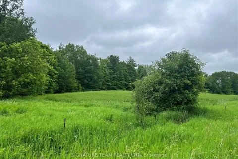 Lot 2 Grants Settelement Road, Whitewater Region, ON K0J 1K0