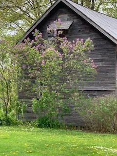 8 Queen Street, Huron-Kinloss, ON N0G 2R0
