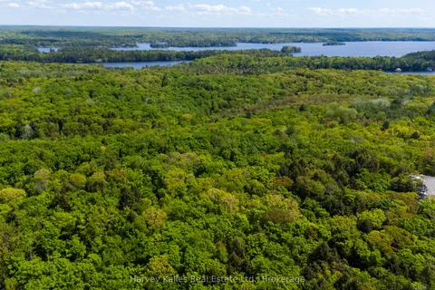 CON 1 PT LOT 12 Barlochan Road, Muskoka Lakes, ON P1P 1R2