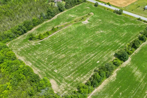 0 Shannonville Road, Tyendinaga, ON K0K 1V0