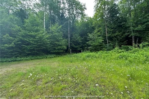 3944 County Road 21 Highway, Minden Hills, ON K0M 2K0