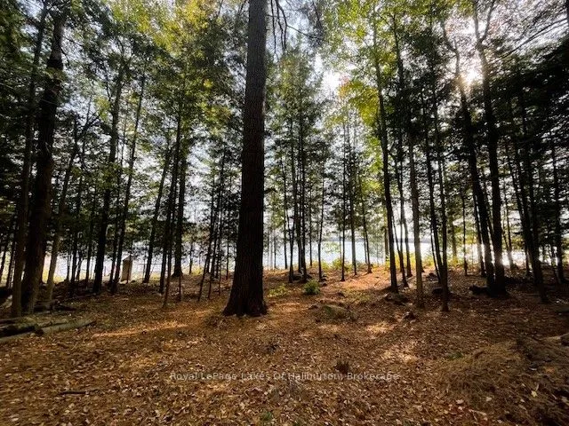 0 HWY 35 N/A, ON K0M 1S0