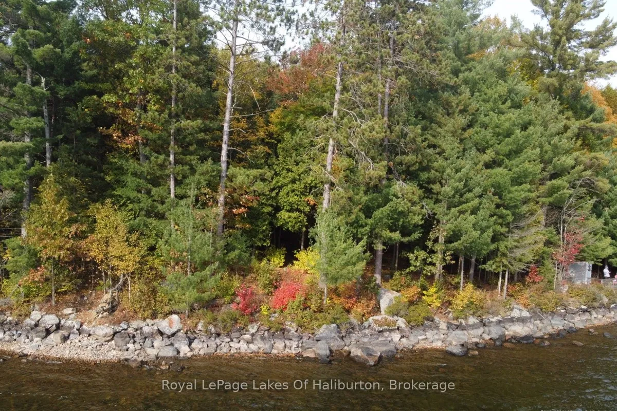 0 HWY 35 N/A, ON K0M 1S0