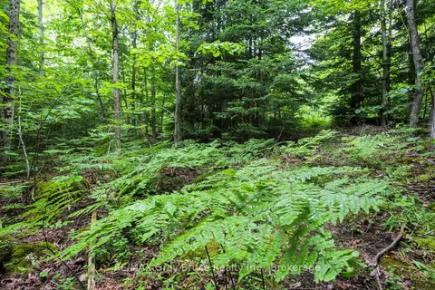 1477 Highway 6 Highway, South Bruce Peninsula, ON N0H 2T0