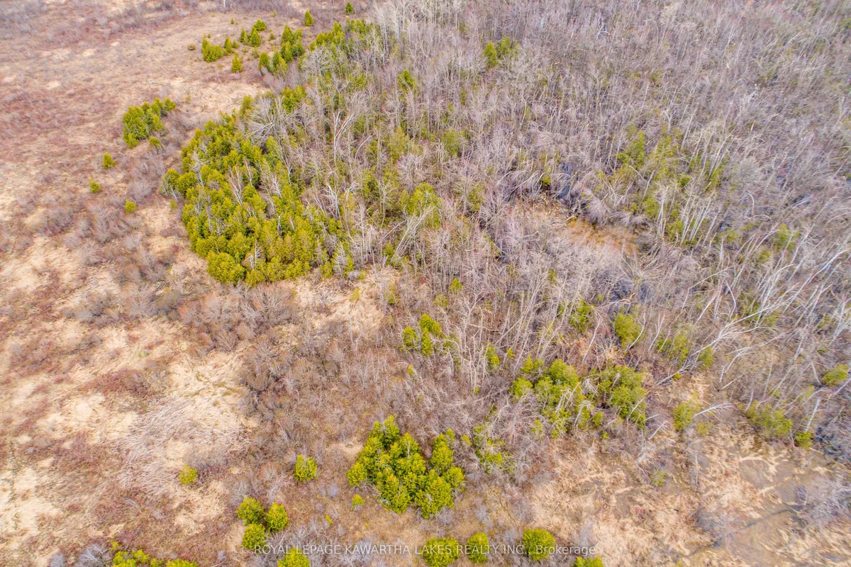 210 Grasshill Road, Kawartha Lakes, ON K0M 2T0