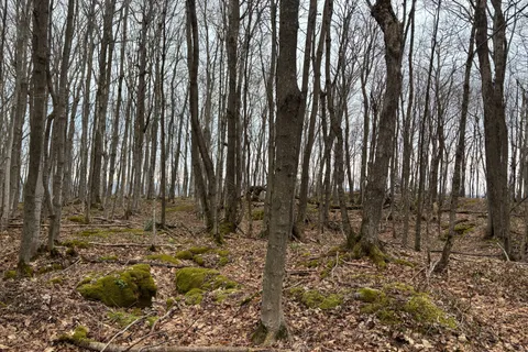 PT LT 9 CON 14 EBR PT 33 Concession, Northern Bruce Peninsula, ON N0H 1W0