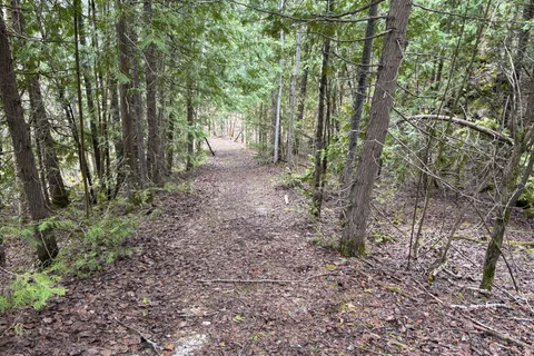 PT LT 9 CON 14 EBR PT 7 (3R1116) Concession, Northern Bruce Peninsula, ON N0H 1W0