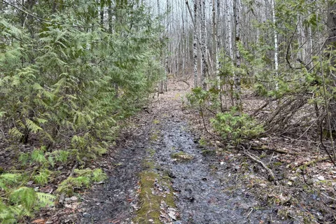 PT LT 9 CON 14 EBR PT 5 Concession, Northern Bruce Peninsula, ON N0H 1W0