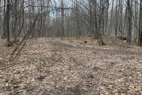 PT LT 9 CON 14 EBR PT 26 Concession, Northern Bruce Peninsula, ON N0H 1W0