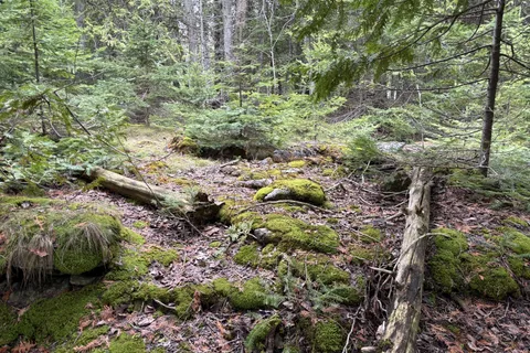 PT LT35 CON 3 WBR PT 77 Concession, Northern Bruce Peninsula, ON N0H 1W0