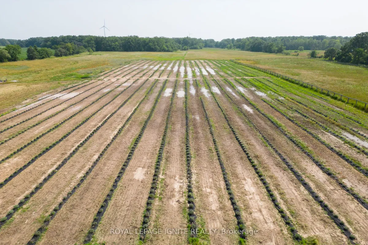 6714 Regional Road, ON L0R 1Y0