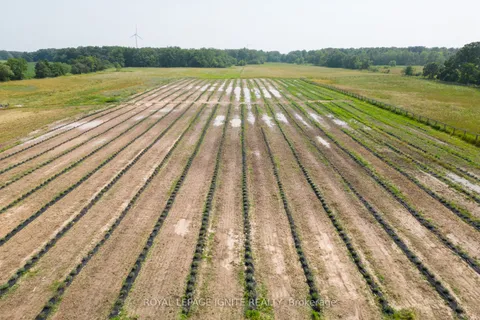 6714 Regional Road, West Lincoln, ON L0R 1Y0