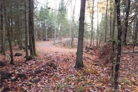 1646 Kennisis Lake Road, Dysart et al, ON K0L 1S0