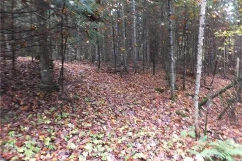 1646 Kennisis Lake Road, Dysart et al, ON K0L 1S0