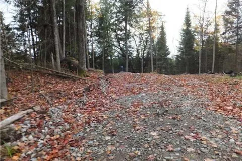 1646 Kennisis Lake Road, Dysart et al, ON K0L 1S0